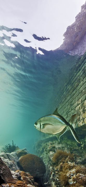 FKNMS - Dry Tortugas