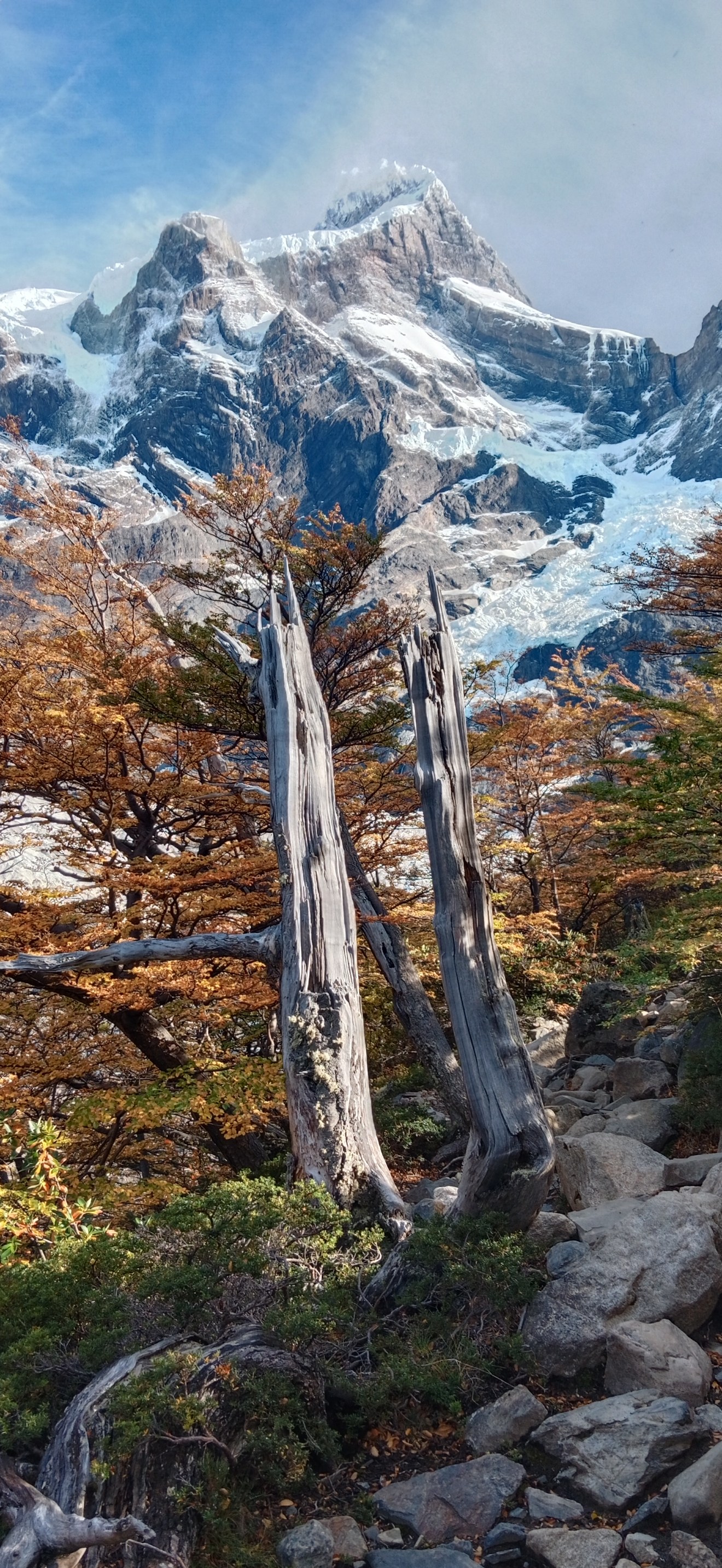 AOB Torres del Paine hacia el masiso