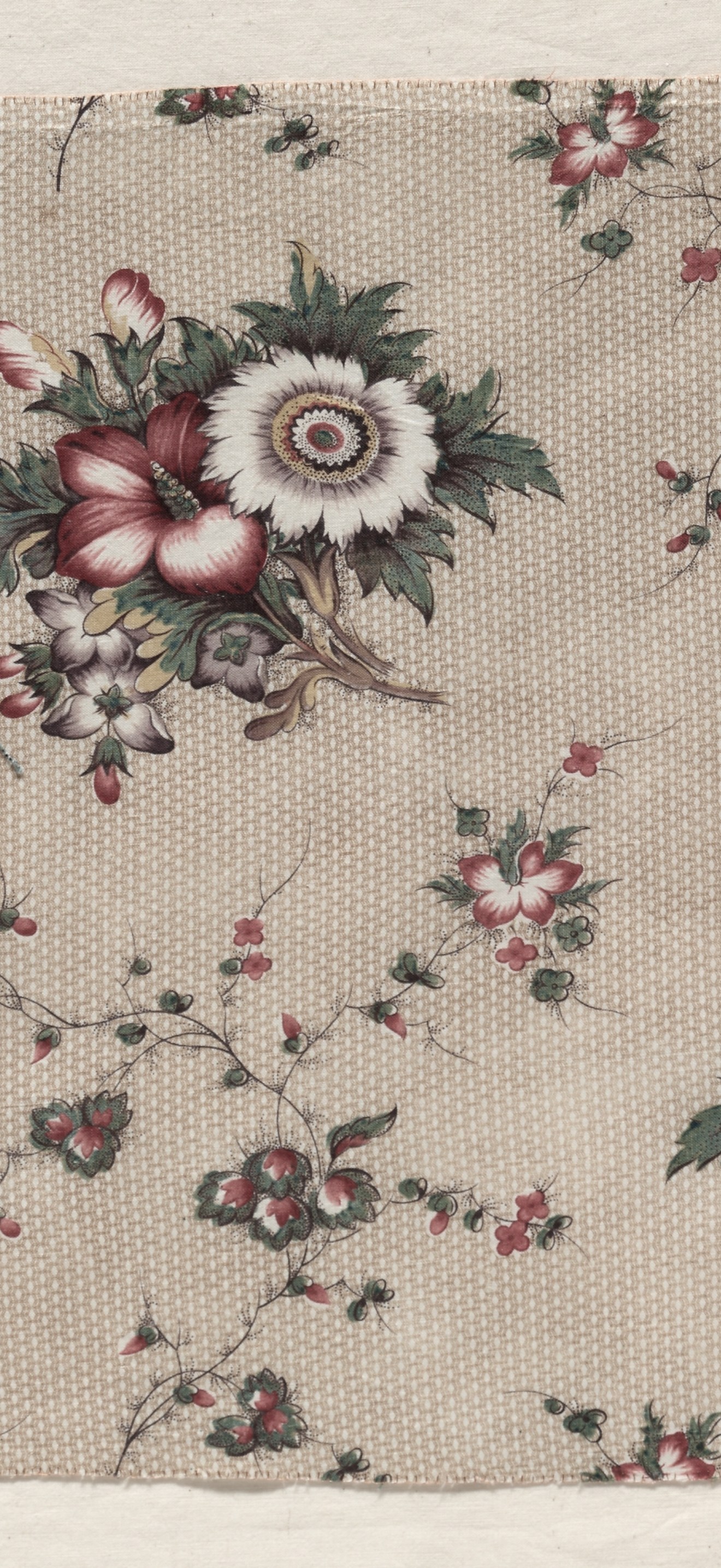 Glazed Chintz Fragment