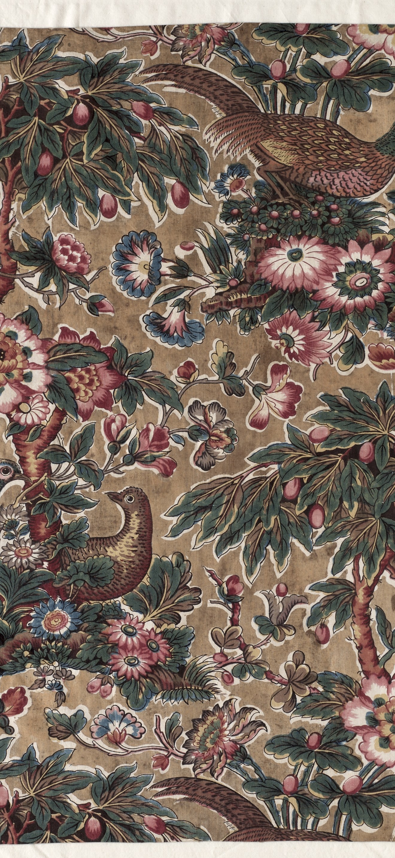 Glazed Chintz with Pheasant and Flower Design