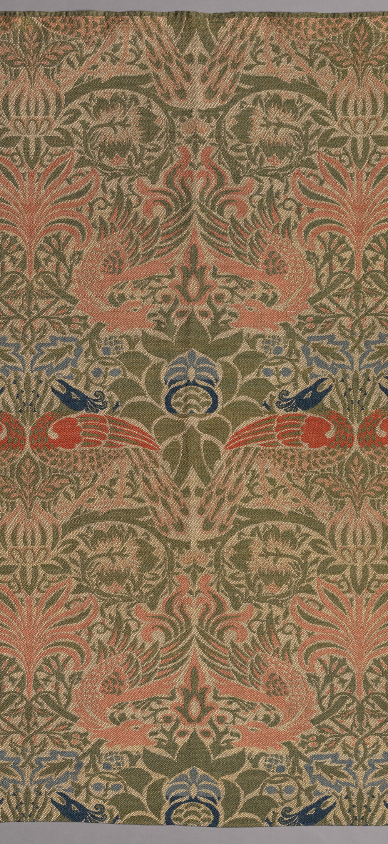 Peacock and Dragon