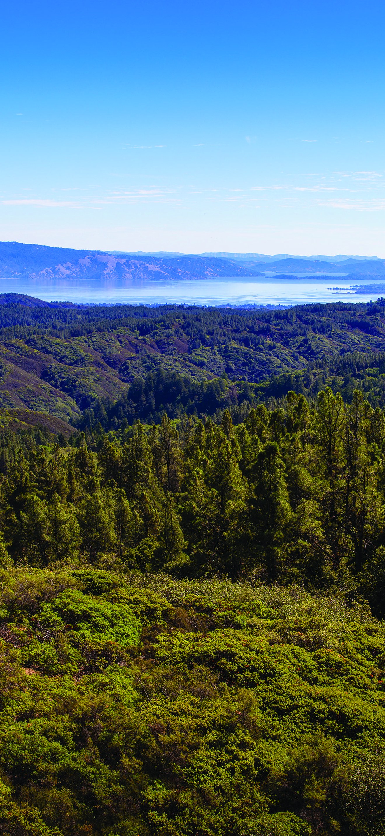 View over Cow Mountain
