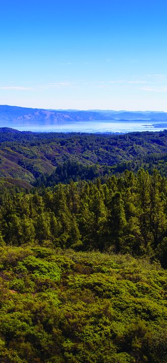 View over Cow Mountain