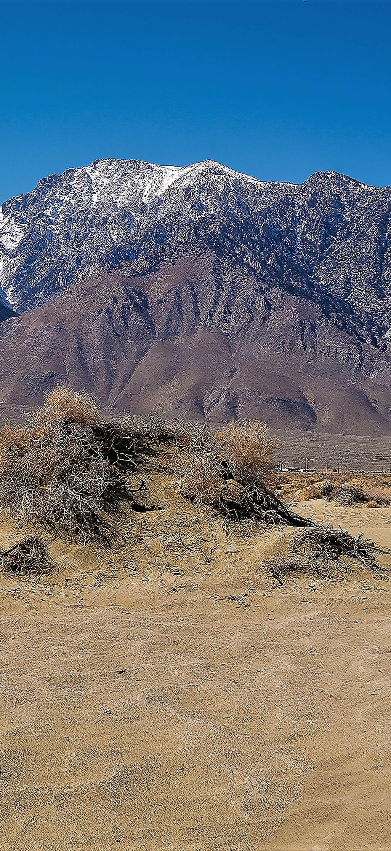Olancha Peak and Dunes