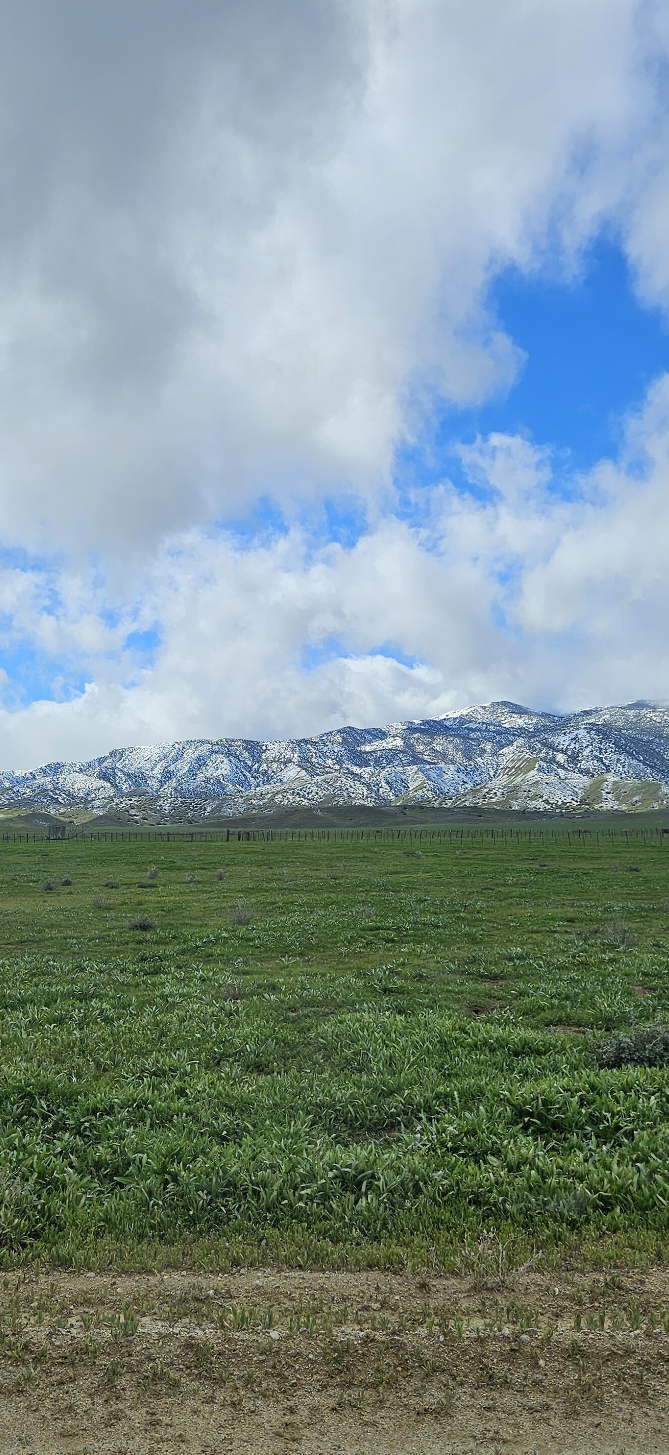 Shane Luttrell BKFO Carrizo Plain National Monument Caliente Mtn Range