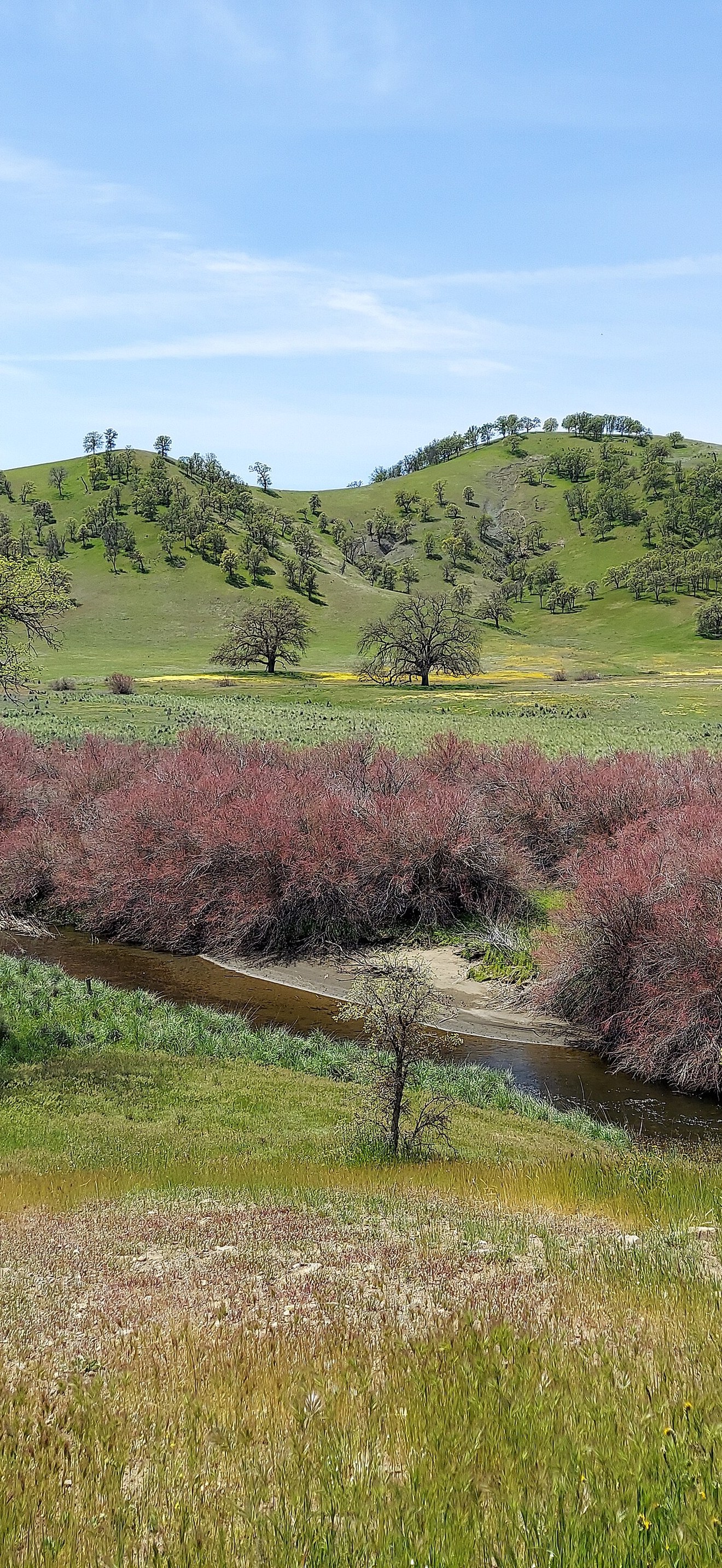 Beth Lefebvre- Ukiah Field Office- Cache Creek Cowboy Camp