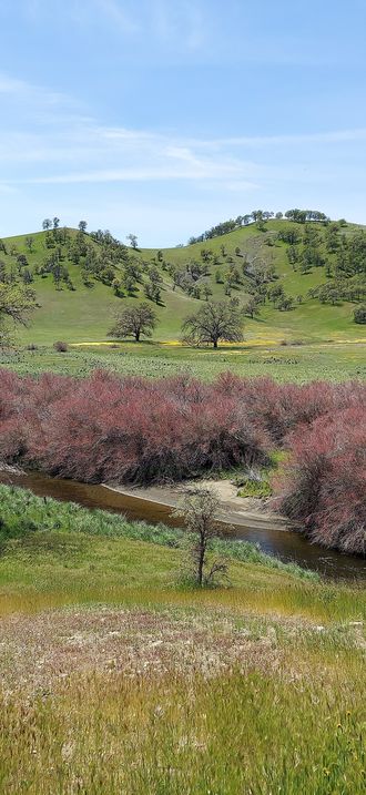 Beth Lefebvre- Ukiah Field Office- Cache Creek Cowboy Camp