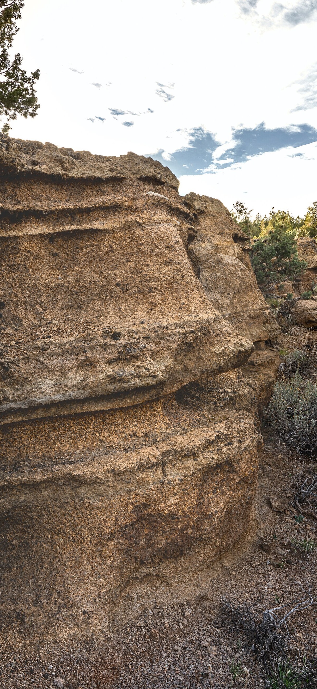 BLM managed lands near Fredonyer Peak