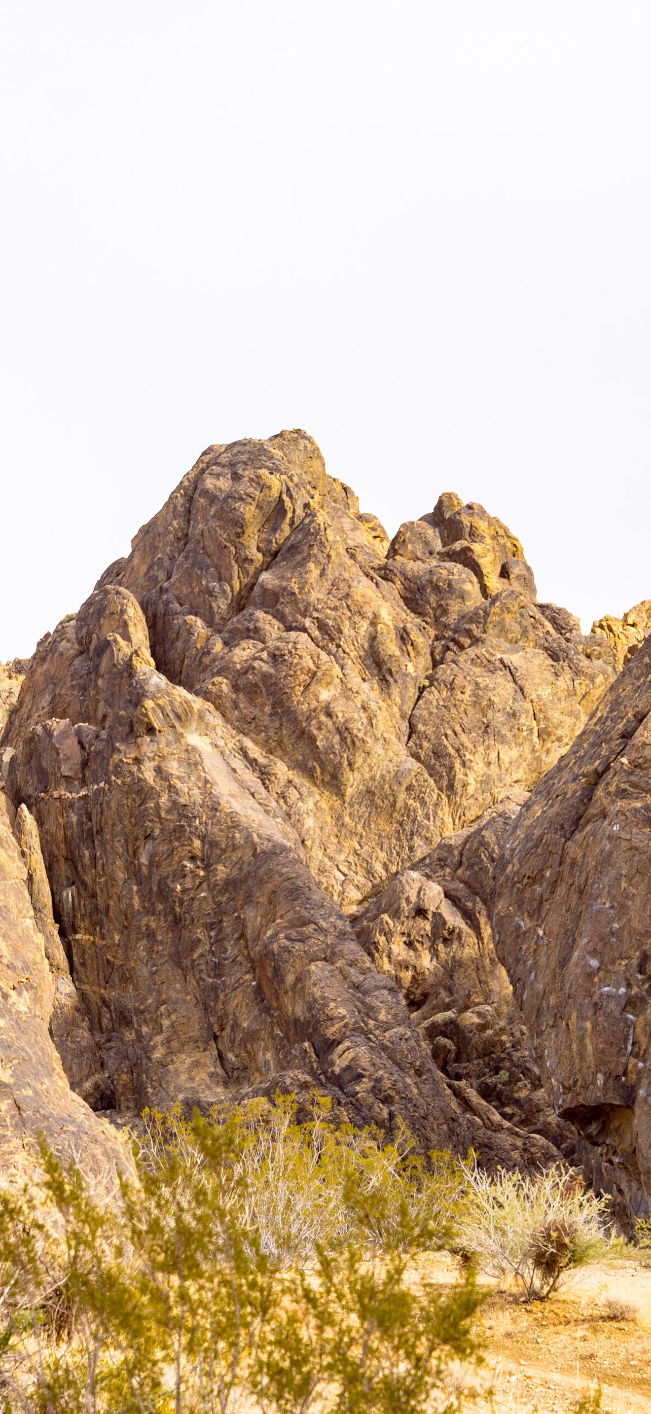 Climbing at Sawtooth Canyon Campground