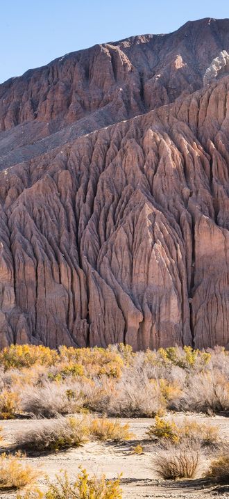 Afton Canyon