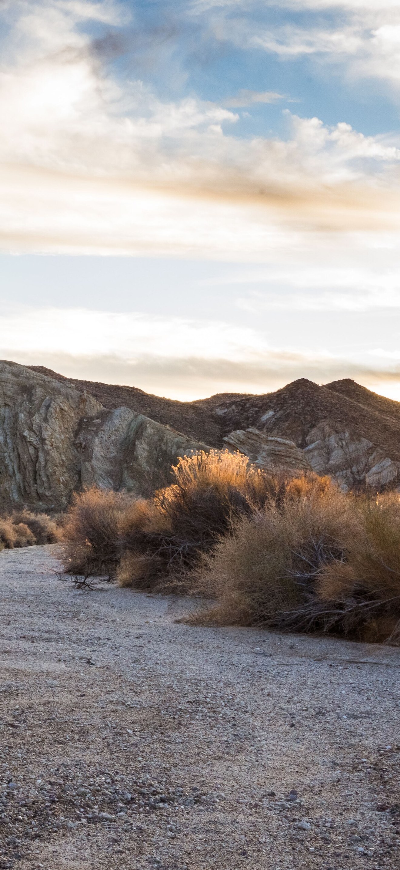 Black Mountain Wilderness