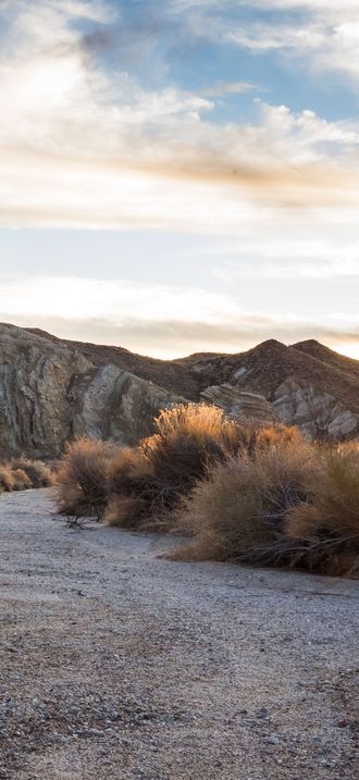 Black Mountain Wilderness