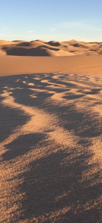 Imperial Sand Dunes in the El Centro Field Office