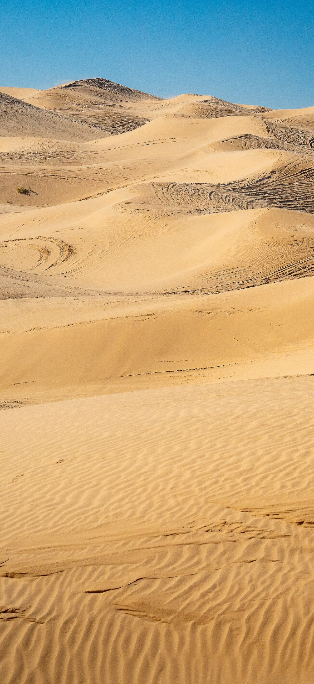Imperial Sand Dunes