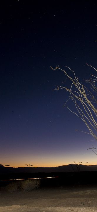 Ocotillo night sky