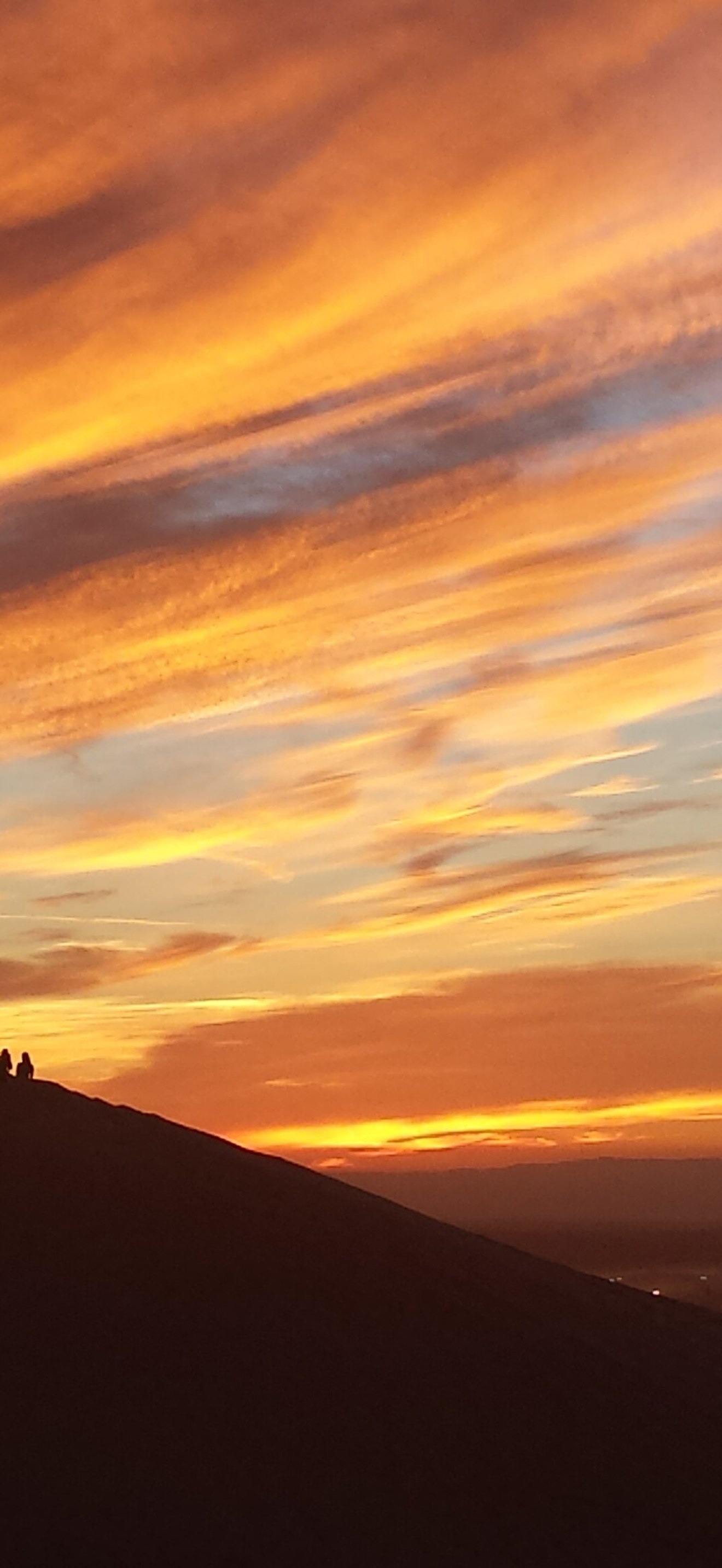 Osborne Sunset