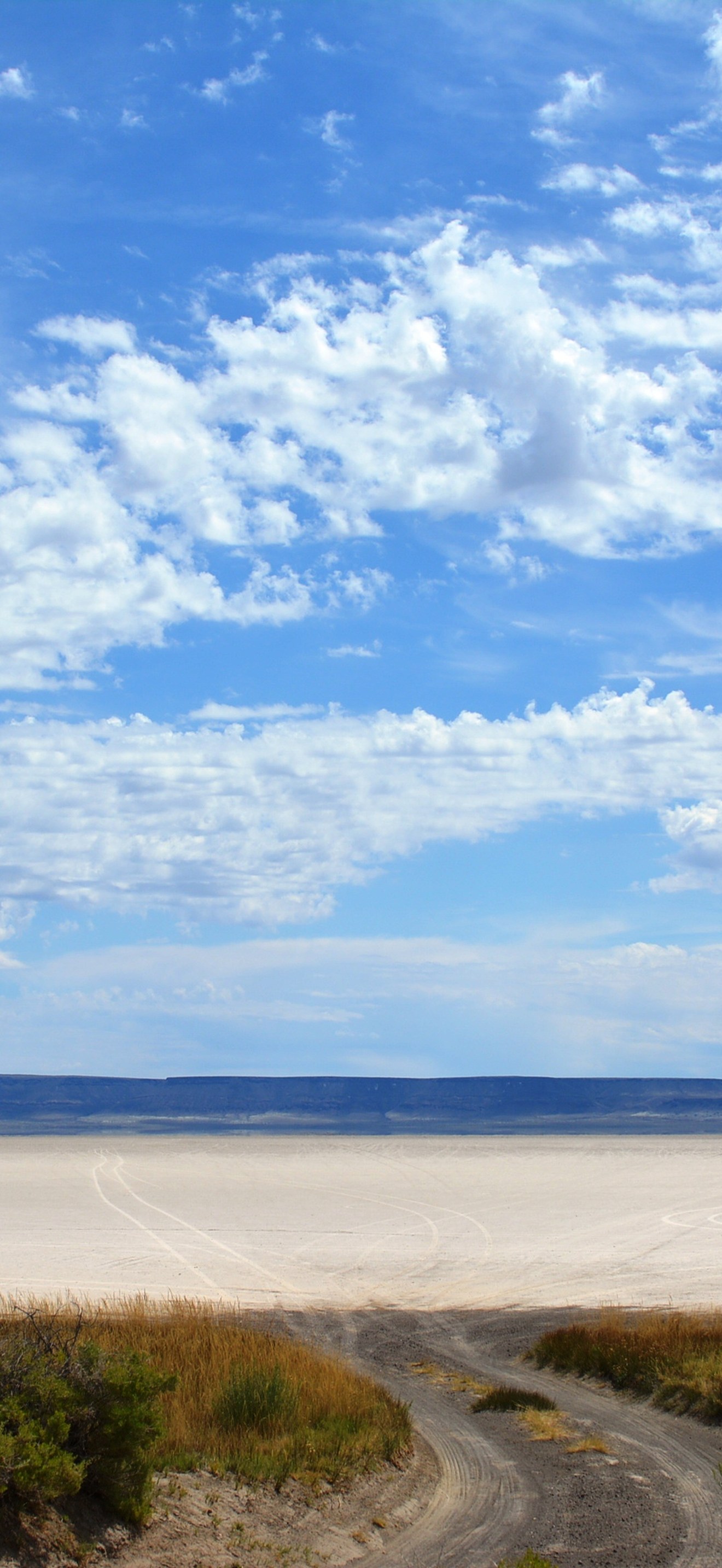 Alvord Desert