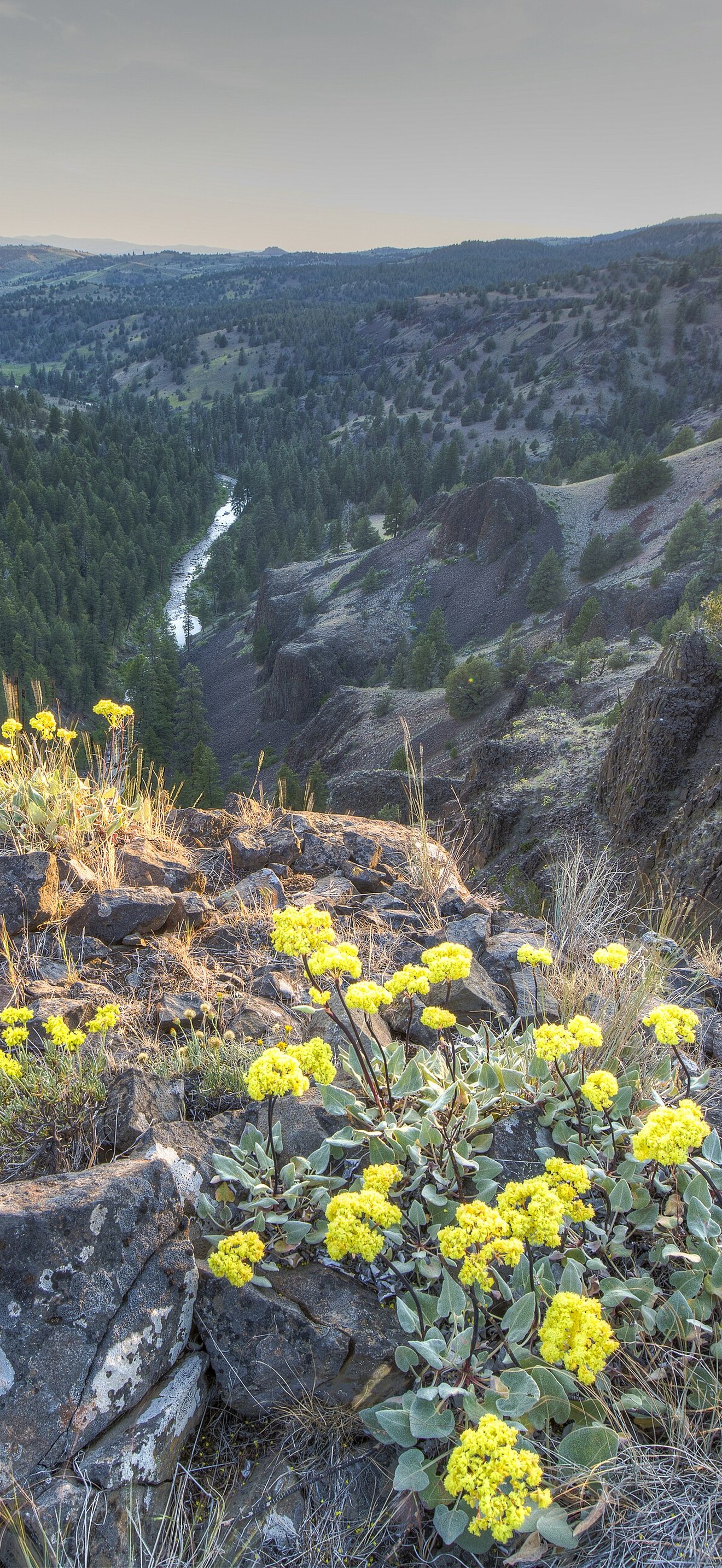 Sunset at the North Fork Crooked Wild and Scenic River