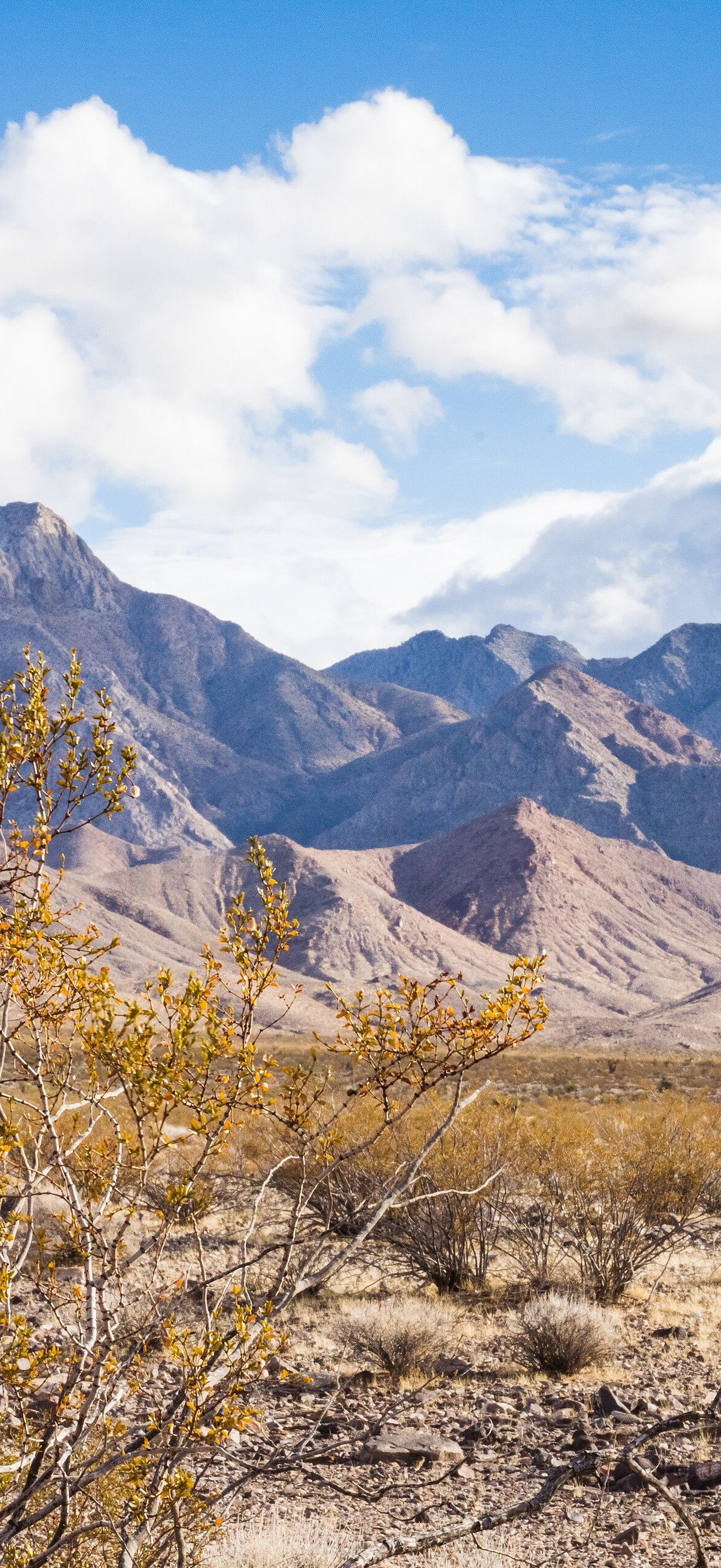 Pahrump Valley Wilderness