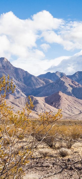 Pahrump Valley Wilderness