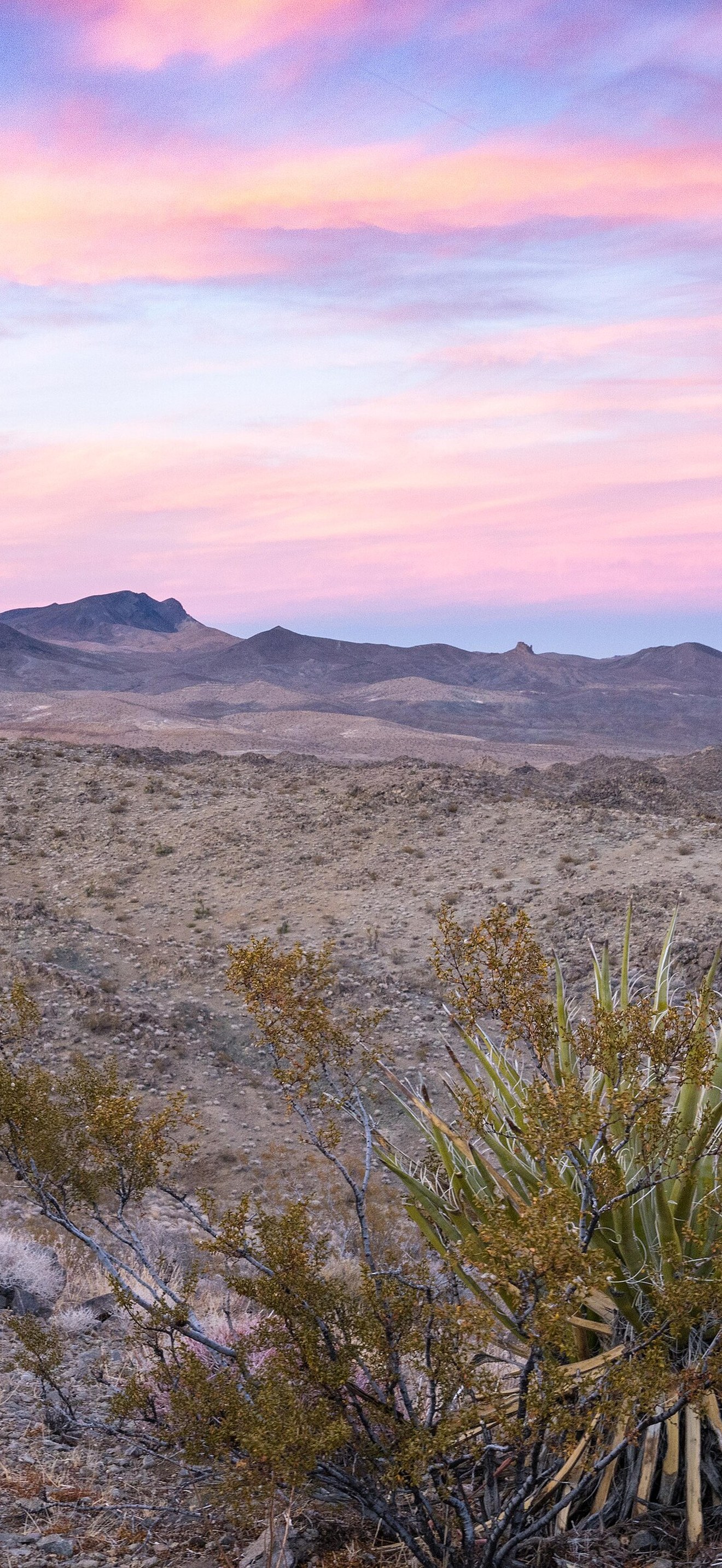 Rodman Mountains Wilderness