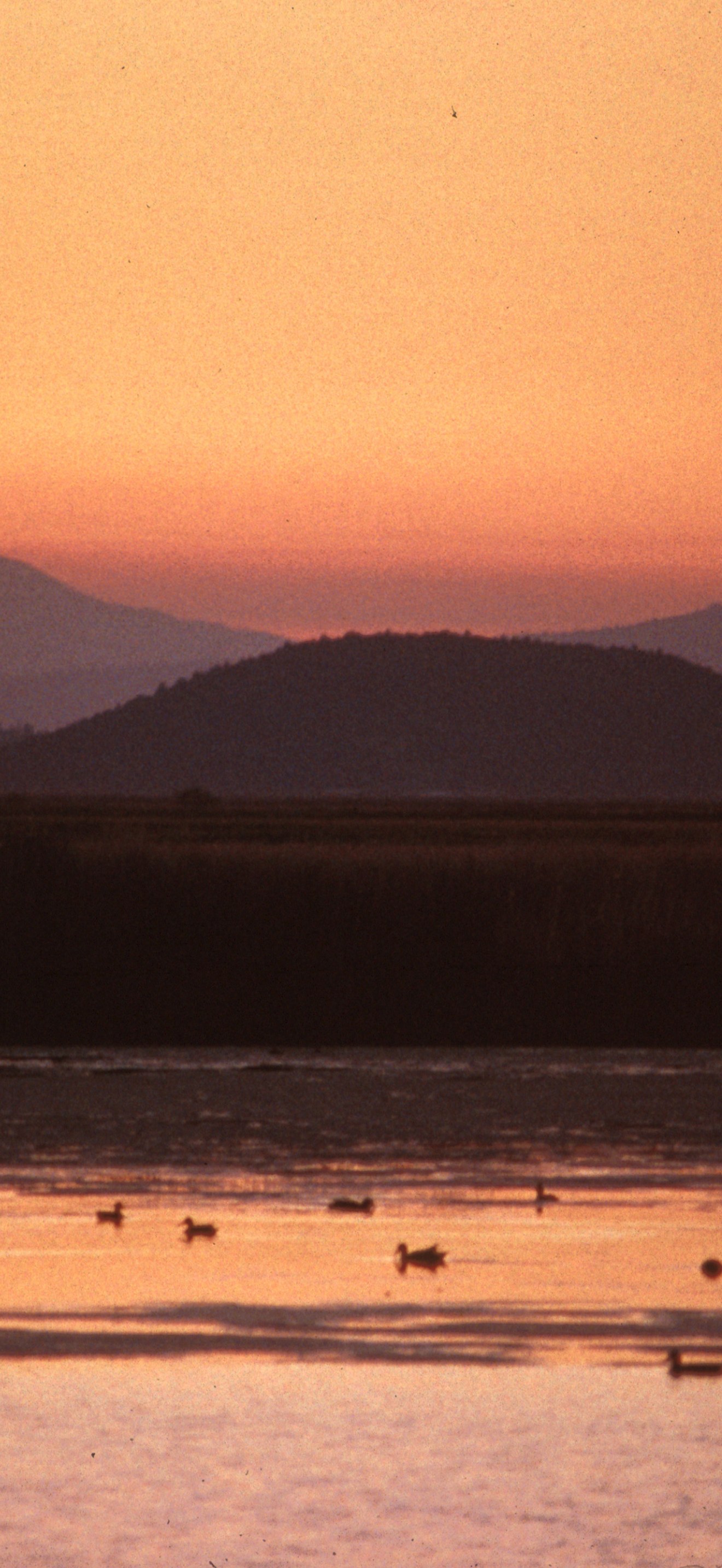 Sunset at the Klamath Basin
