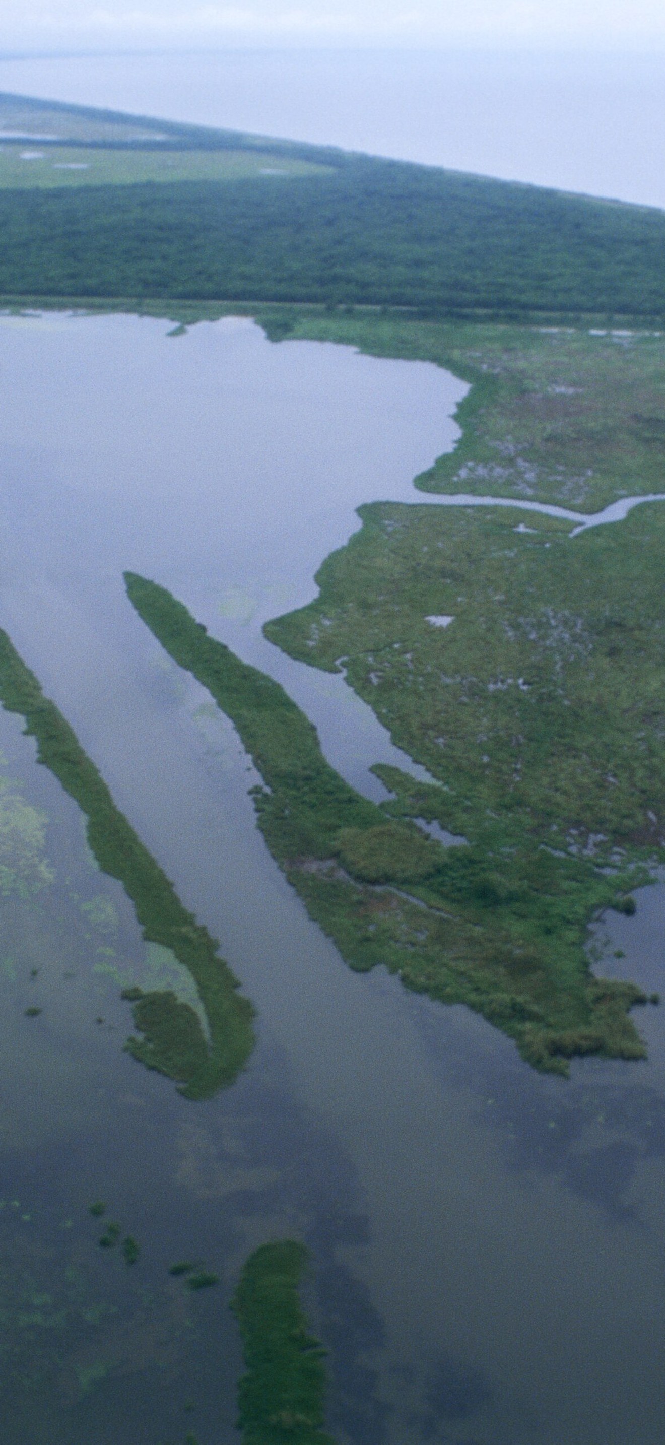 Louisiana wetlands aerial view