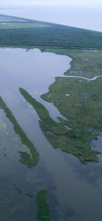 Louisiana wetlands aerial view