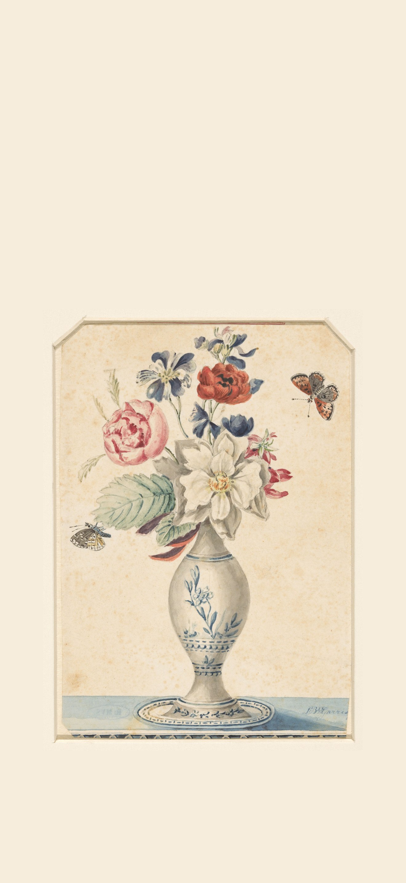 Vaasje met bloemen en een grijsgele vlinder, RP-T-1962-34