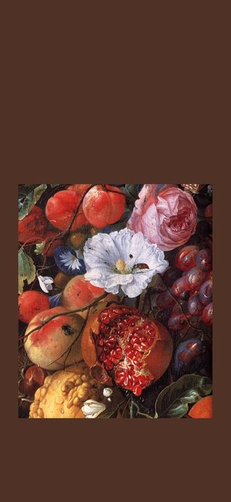 Jan Davidsz. de Heem - Festoon of Fruit and Flowers (detail) - WGA11275