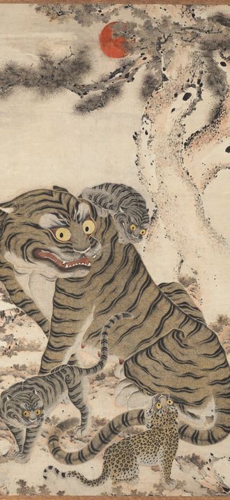 Tiger Family