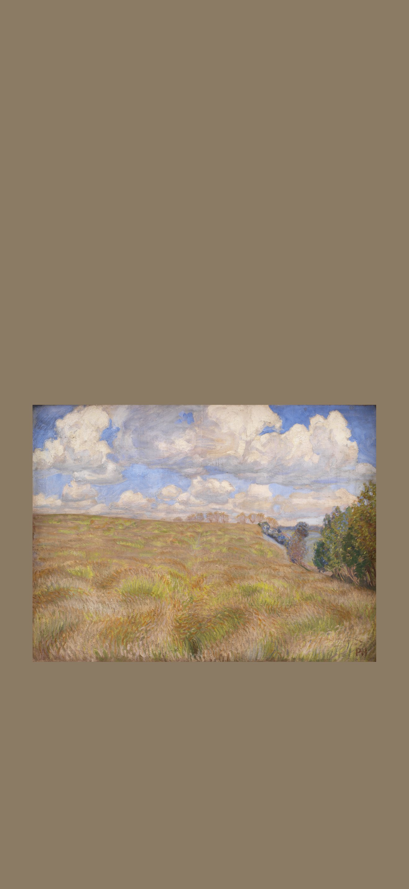 Bølgende rug