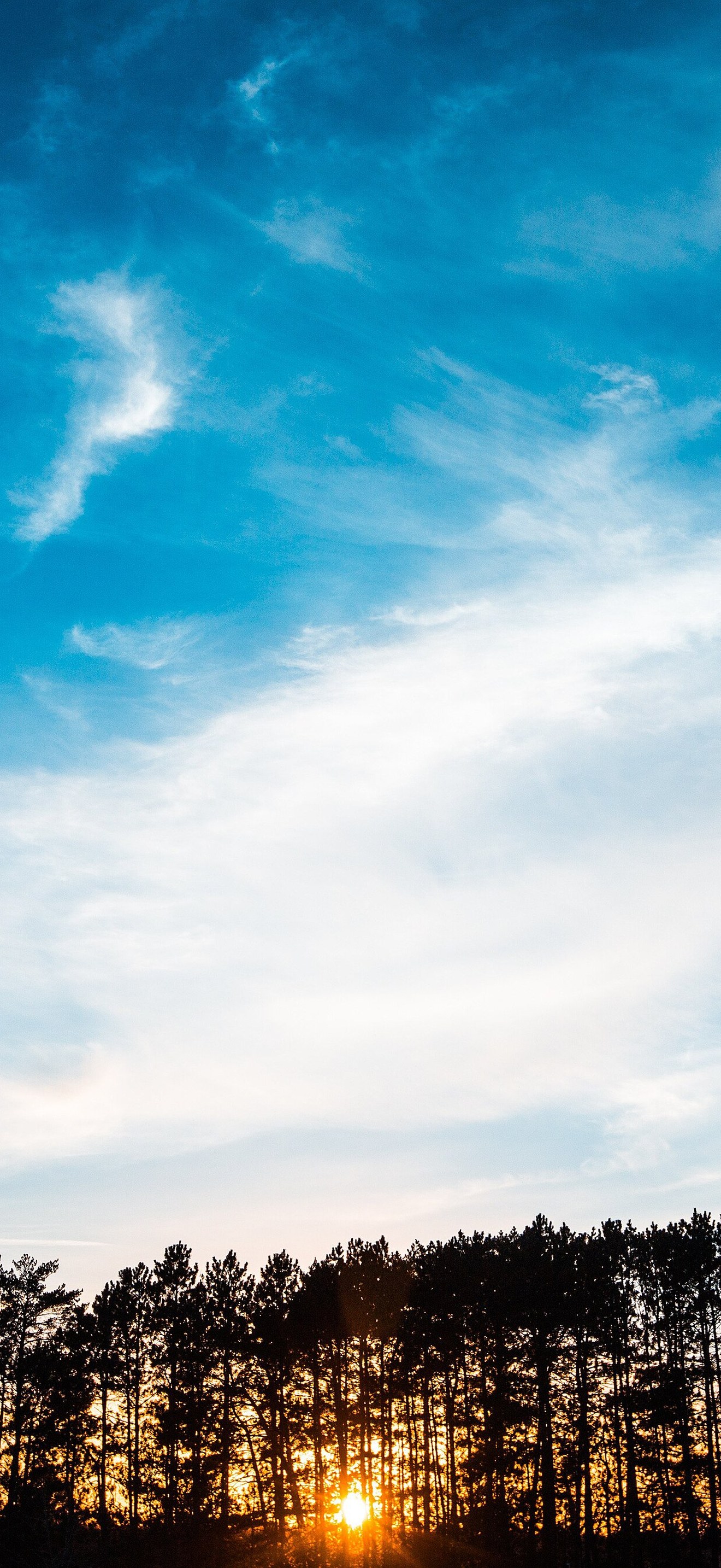 Sky Forest Clouds
