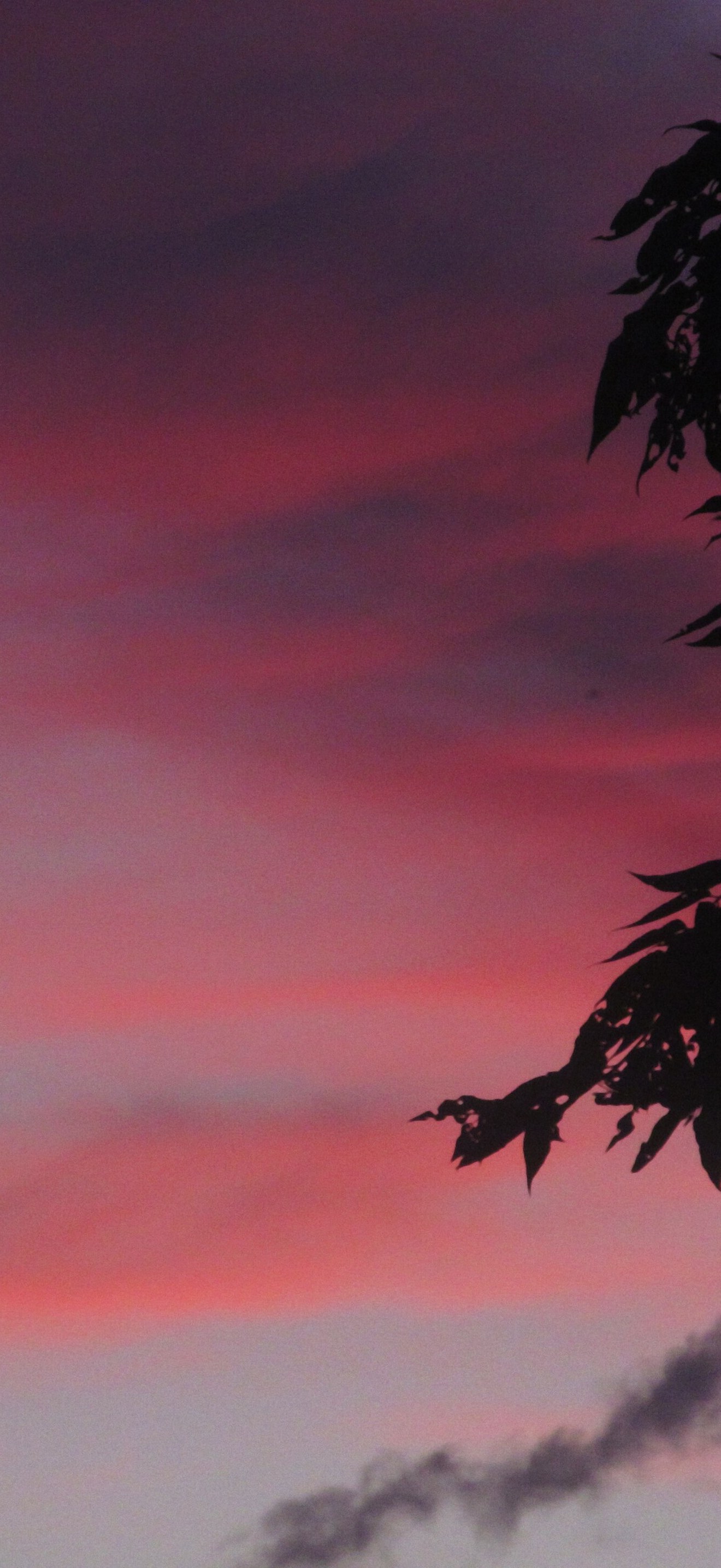 Sunset over Beechview, 2021-09-25, 01