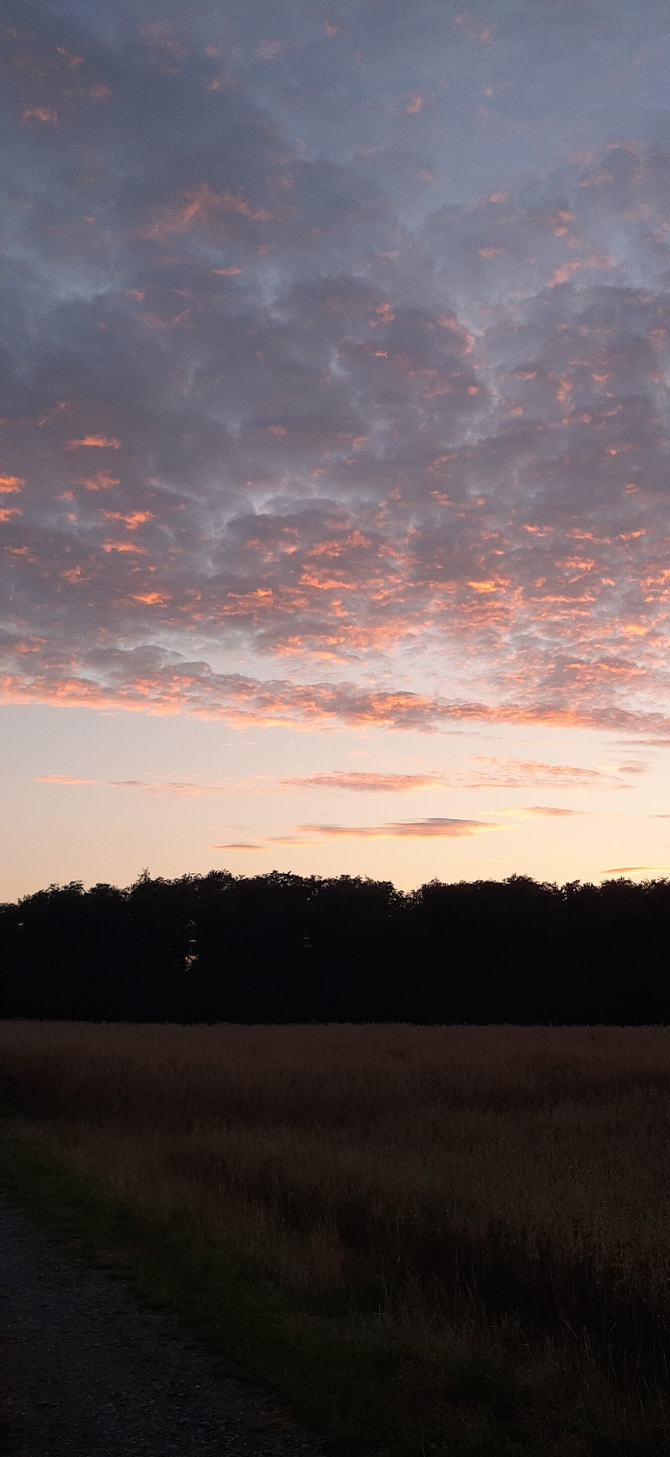 Sunset, Ehrenbach, little pink clouds