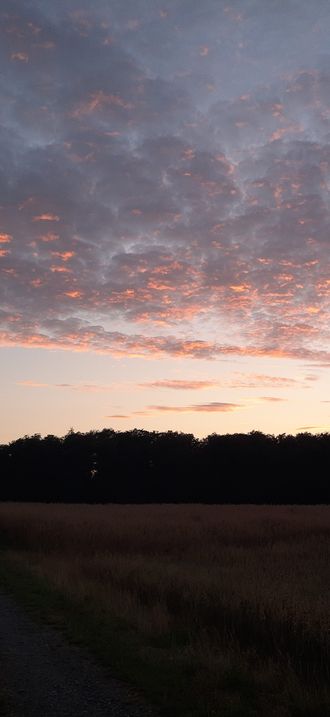 Sunset, Ehrenbach, little pink clouds