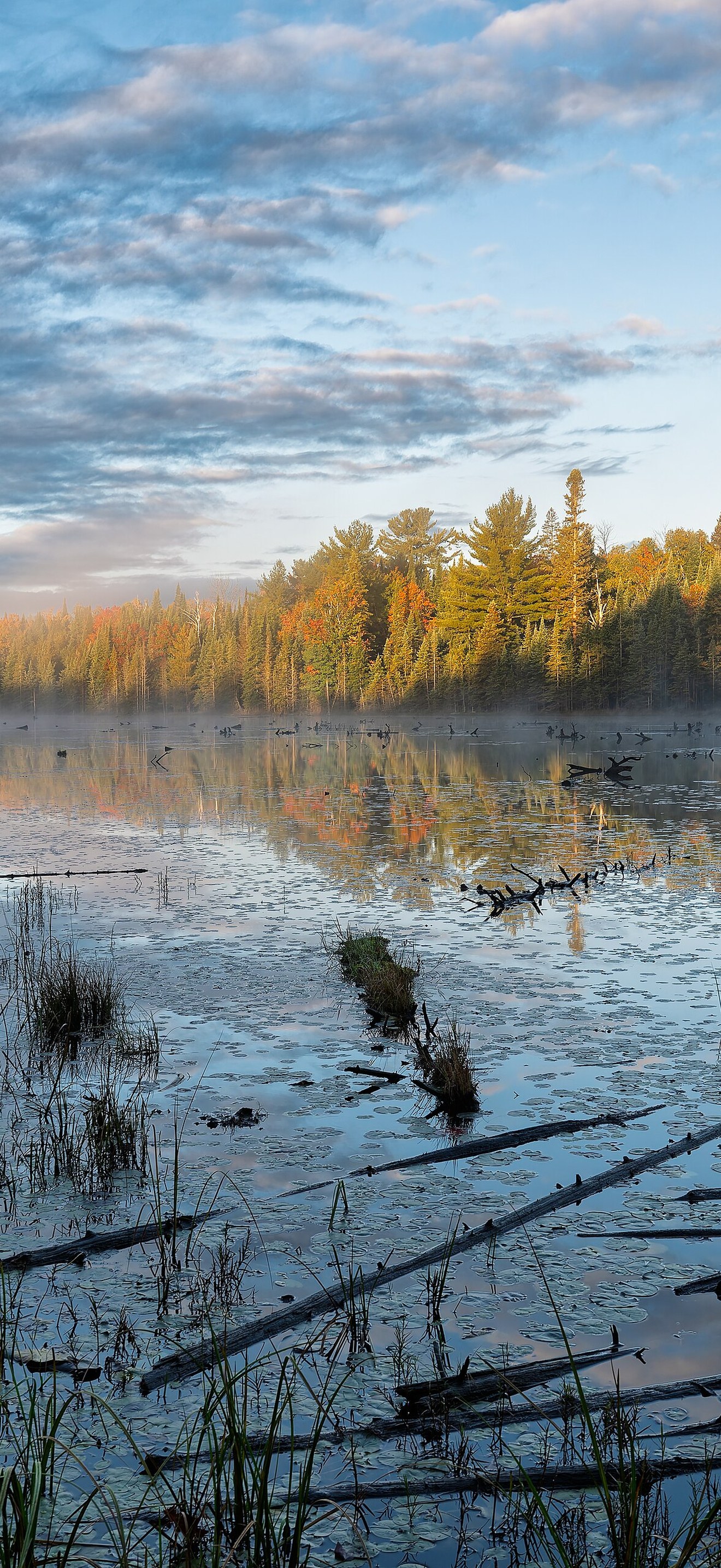 Beaver Pond Sunrise - Flickr - Mustang Joe