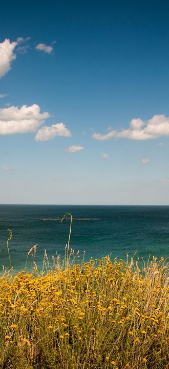 Clouds over grassy shore (Unsplash)