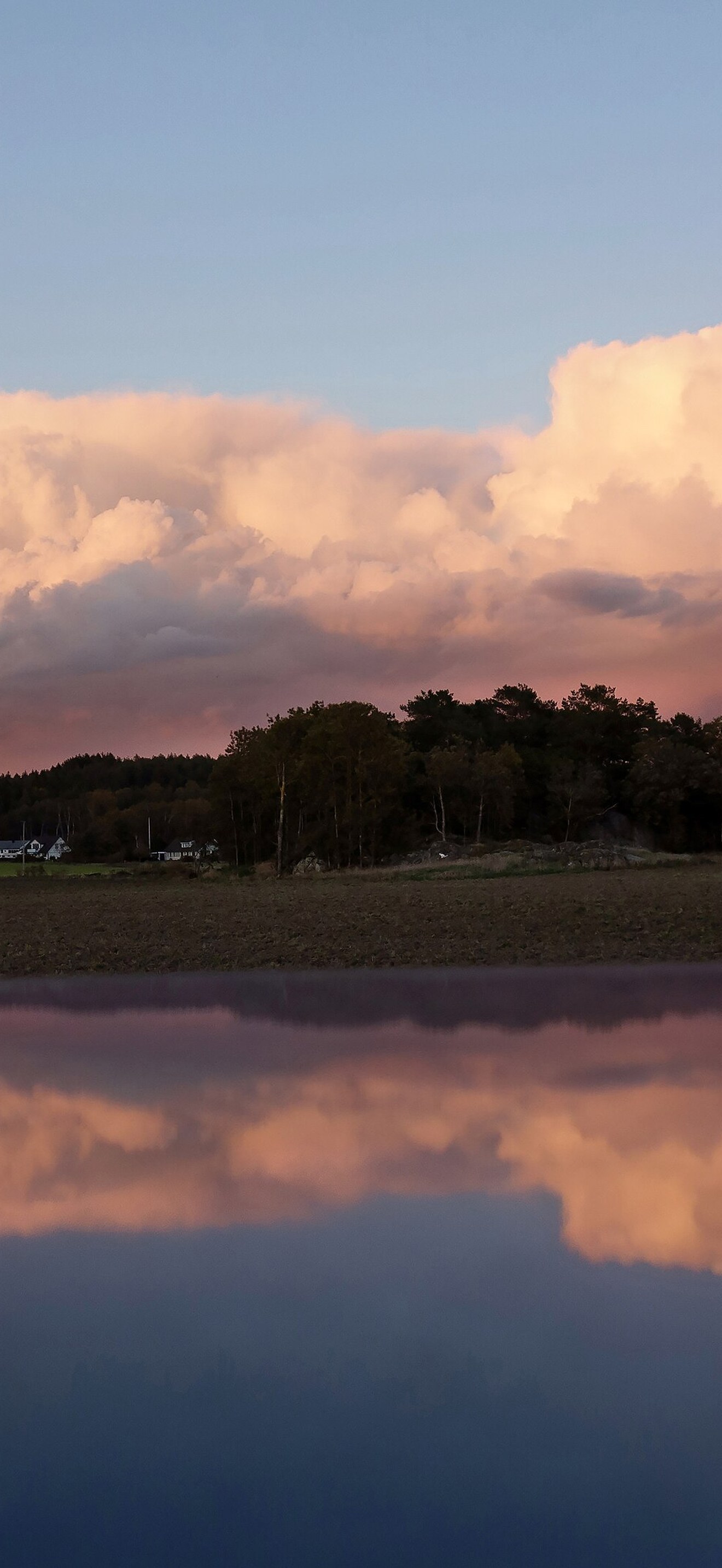 Bank of pink clouds reflected in the roof of a blue car