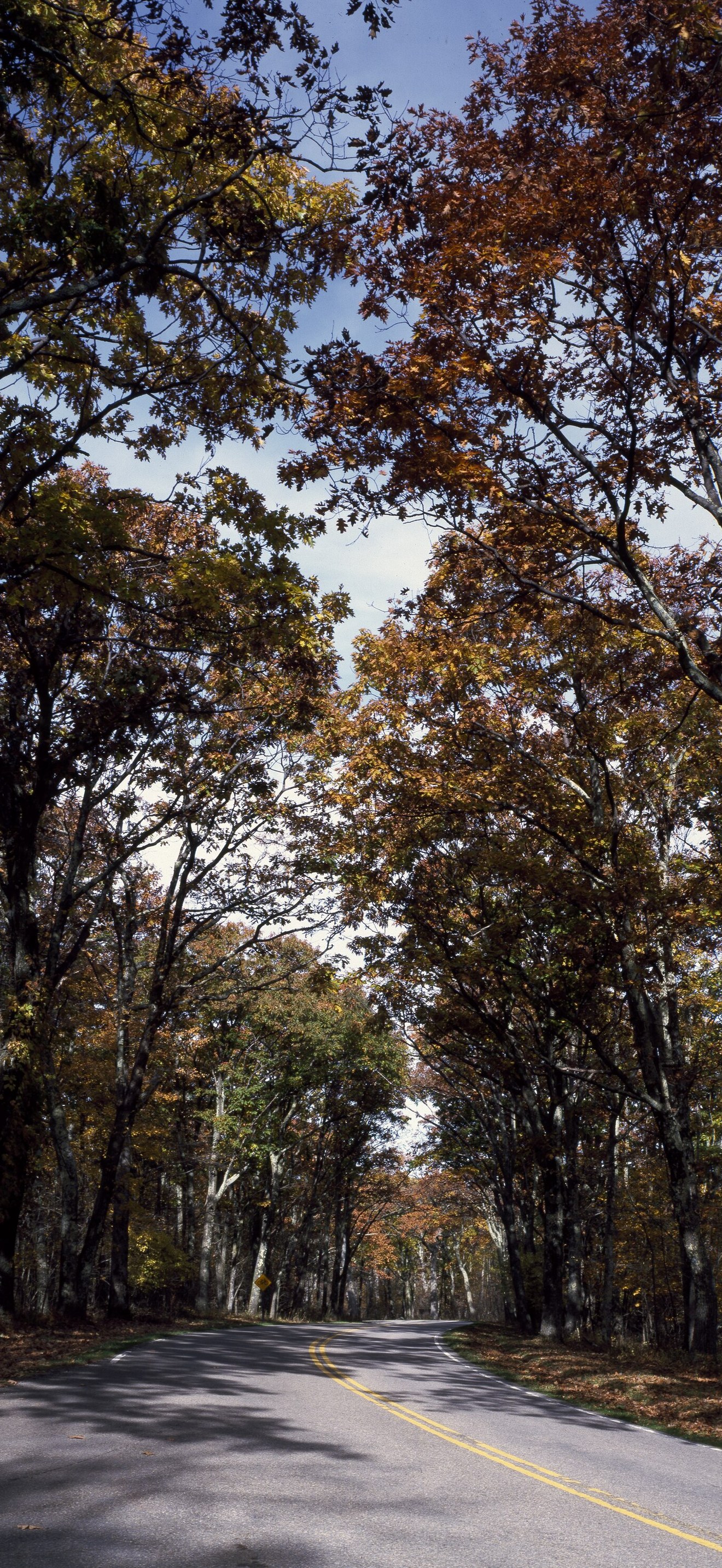 Stretch of Skyline Drive in Virginia
