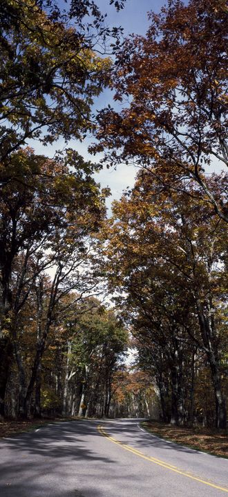 Stretch of Skyline Drive in Virginia