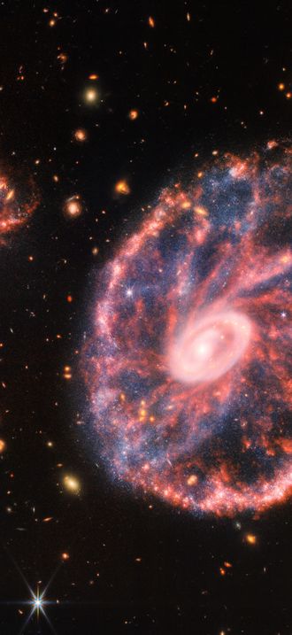Cartwheel Galaxy