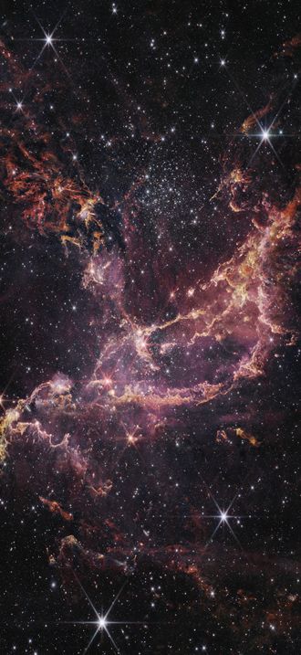 Webb Inspects NGC 346