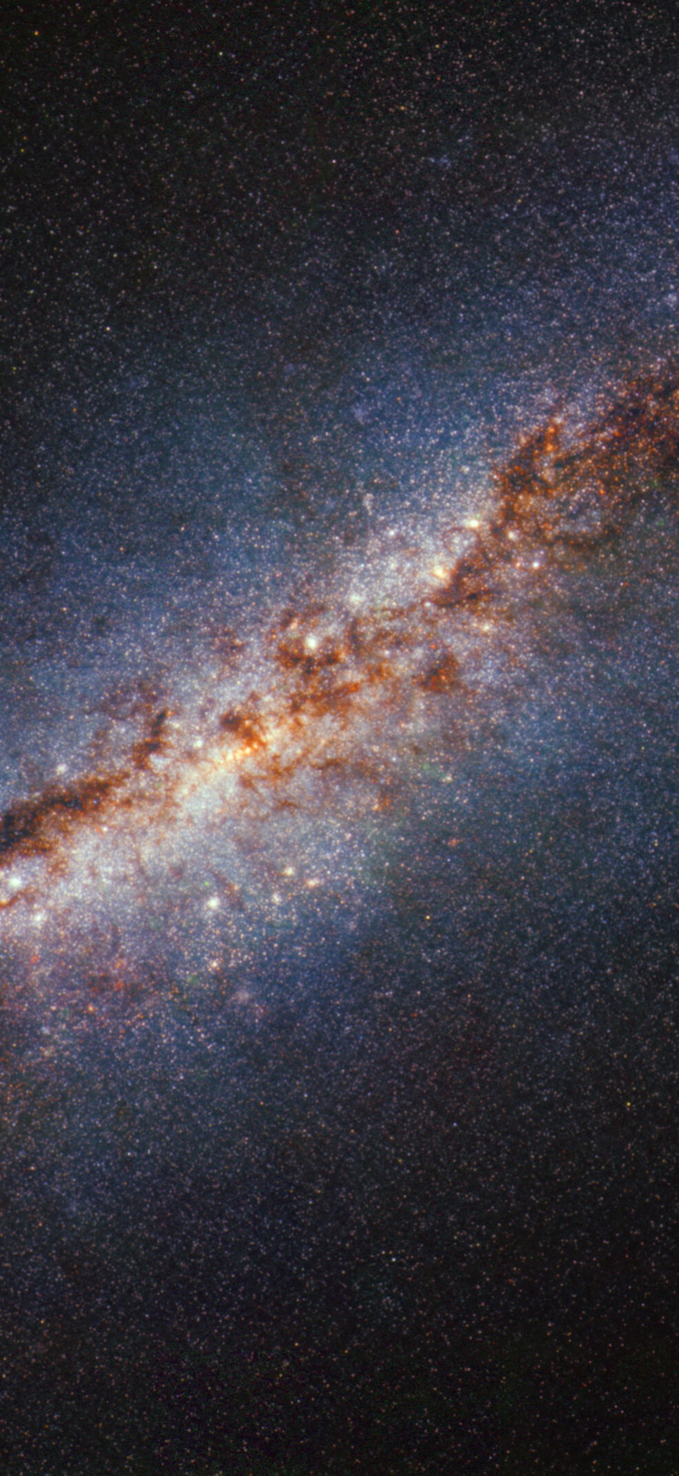 M82