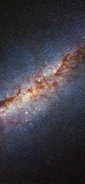 M82