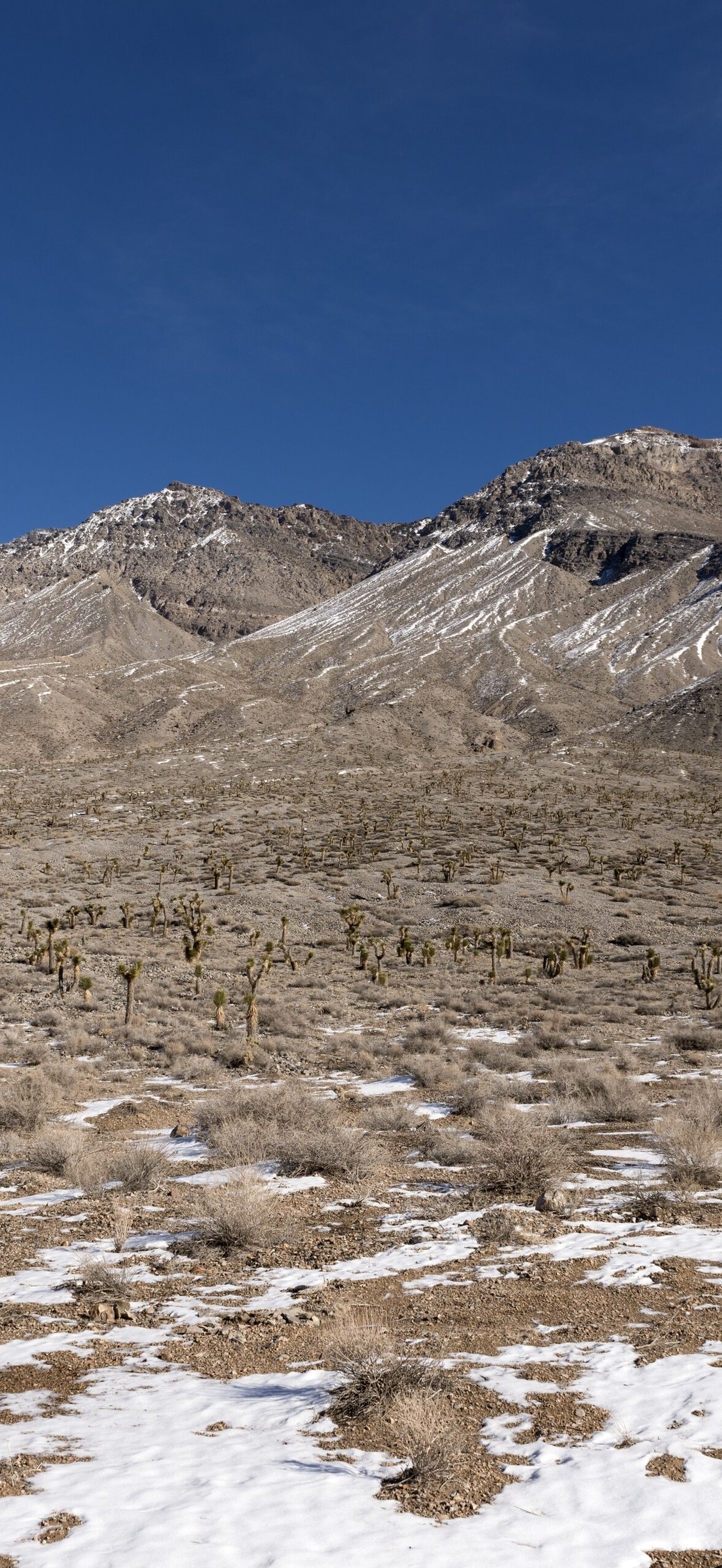 This is obviously not the stereotypical sun-parched summer day in Death Valley. Snow dots