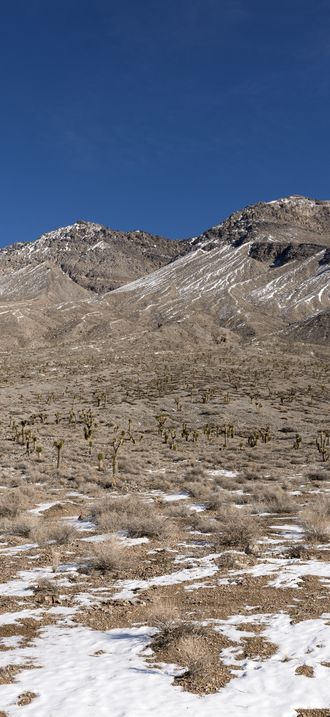 This is obviously not the stereotypical sun-parched summer day in Death Valley. Snow dots
