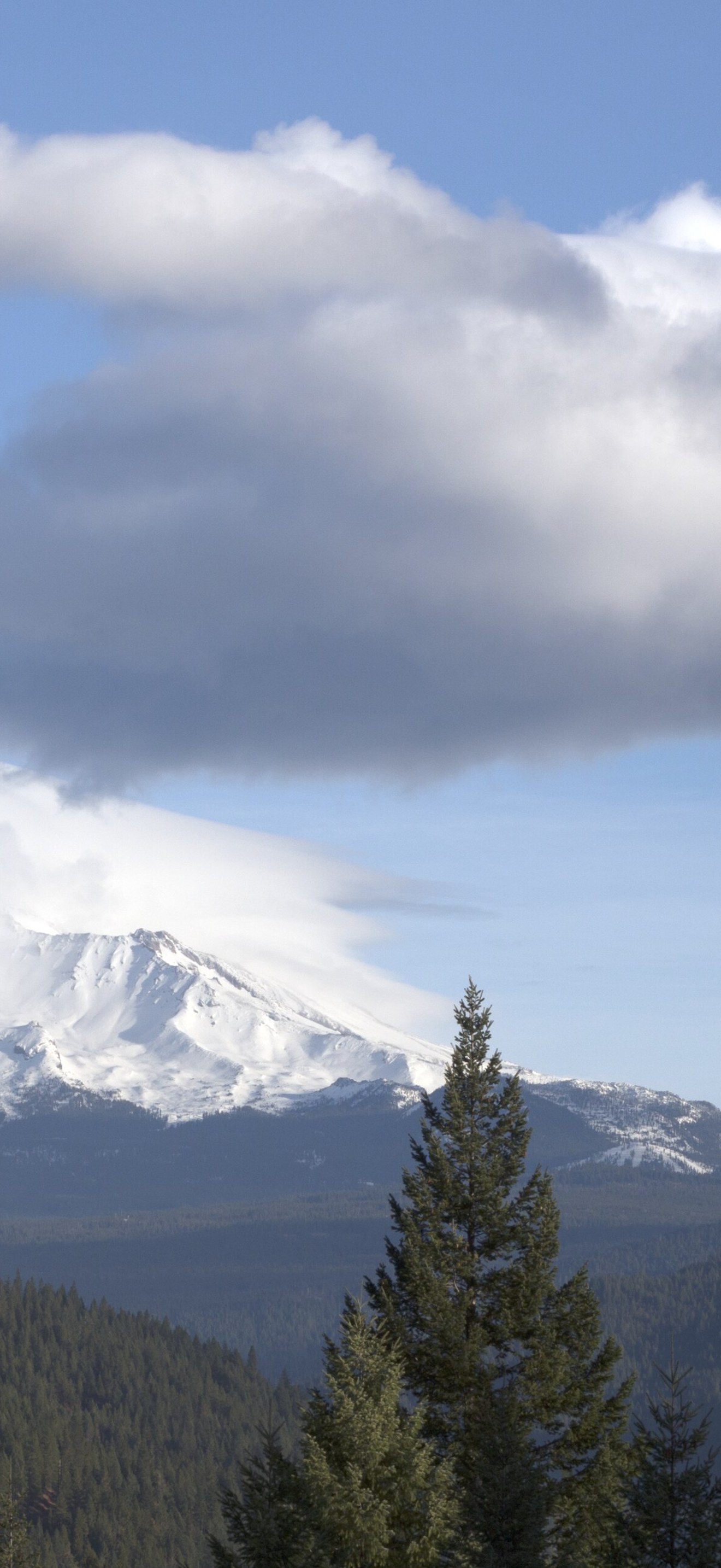 Distant views of looming Mount Shasta, located at the southern end of the Cascade Range in
