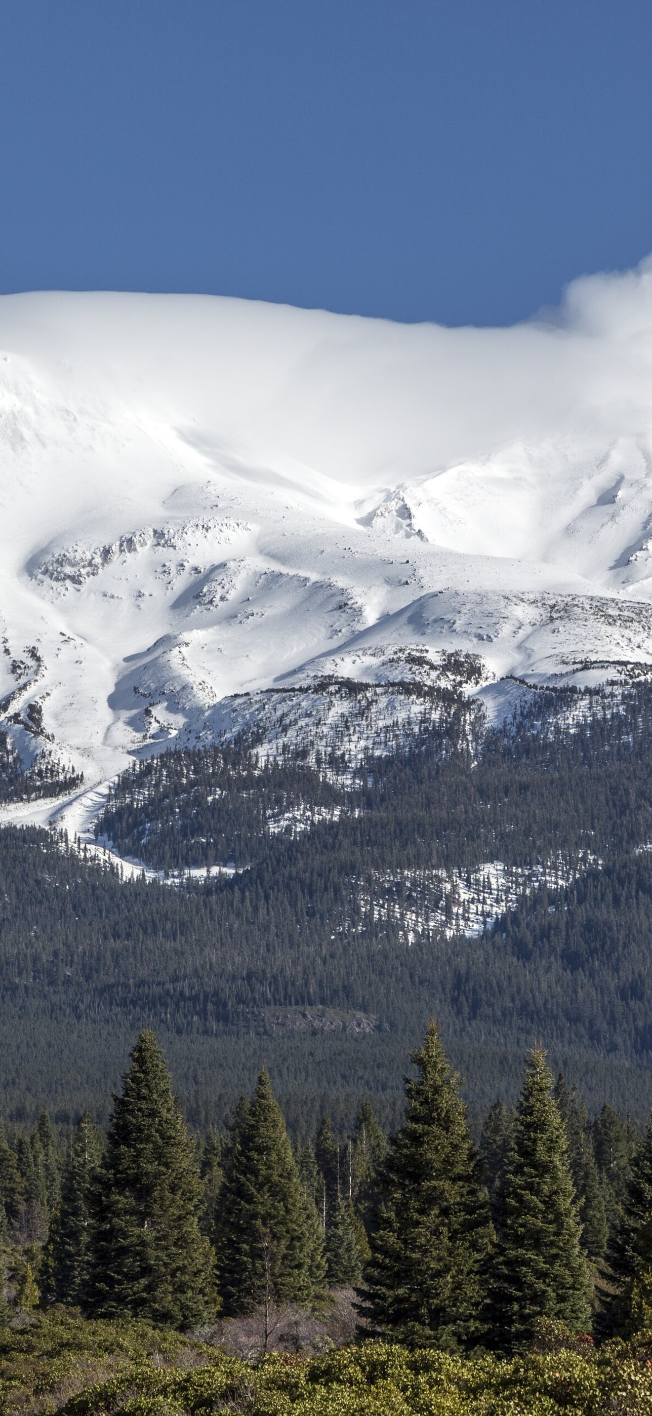 Distant views of looming Mount Shasta, located at the southern end of the Cascade Range in