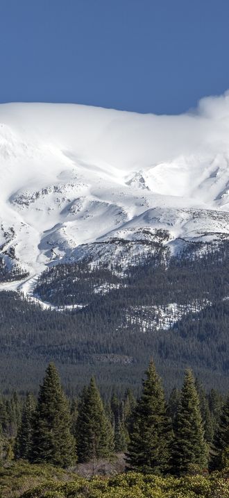 Distant views of looming Mount Shasta, located at the southern end of the Cascade Range in